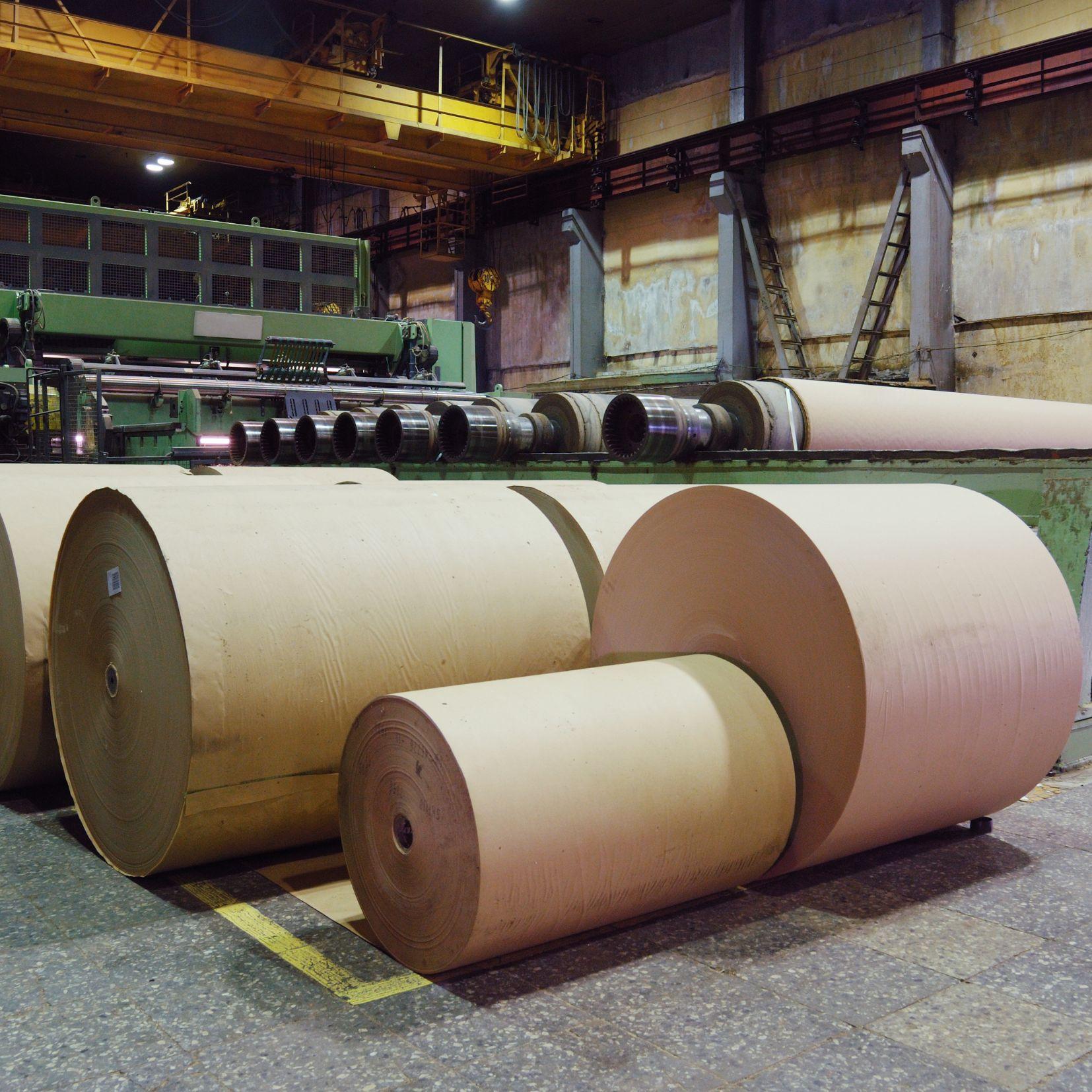 Finished Kraft paper reels on the mill floor at the Ecotech Papers plant